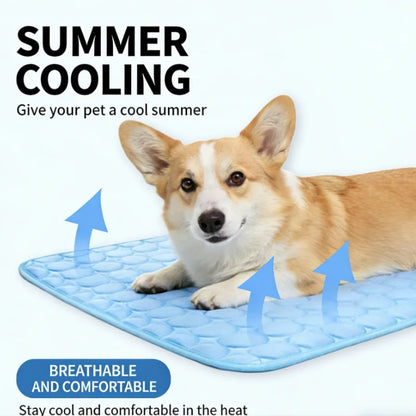 Cold bed Summer PETS