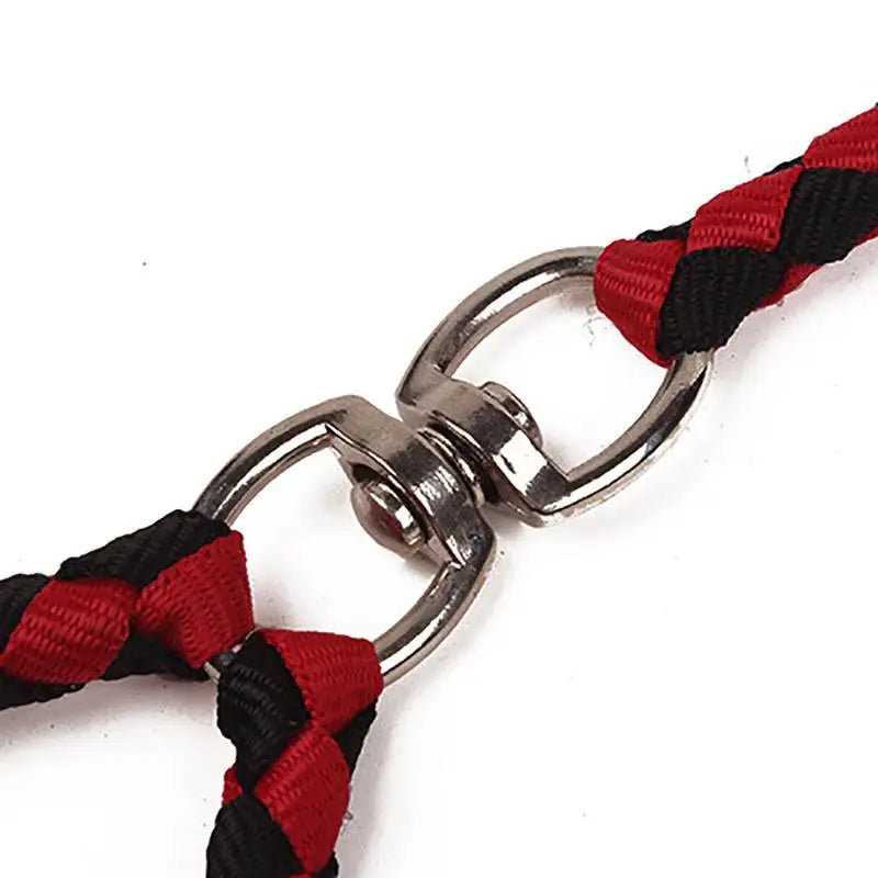 Pet Double Traction Rope