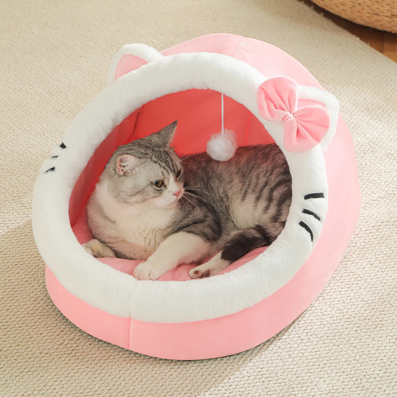 Cute And Soft House PETS