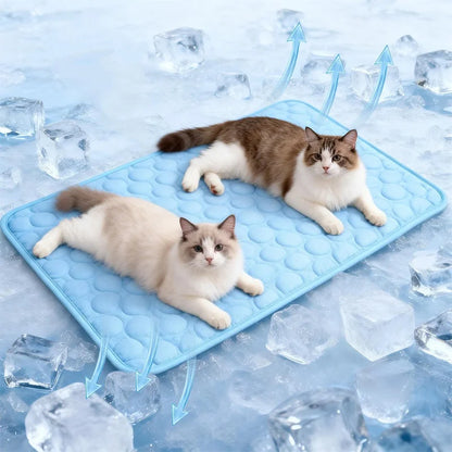 Cold bed Summer PETS