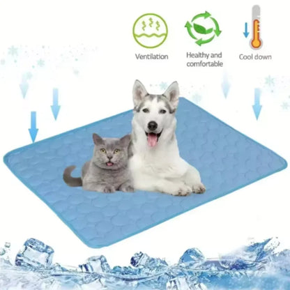 Cold bed Summer PETS