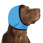 Dog Ear Covers Protection