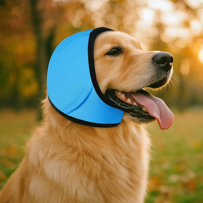 Dog Ear Covers Protection