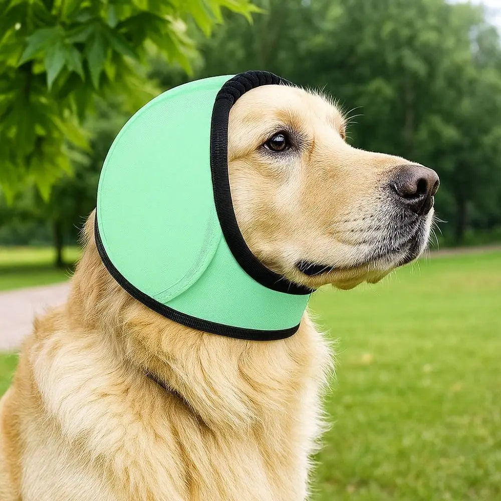 Dog Ear Covers Protection